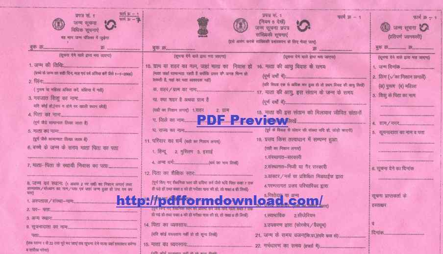 Chhattisgarh Birth Certificate Form PDF Preview