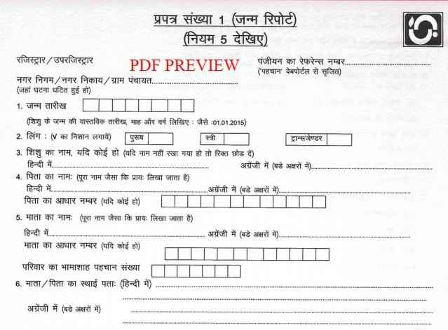 Rajasthan Birth Certificate Registration Form PDF