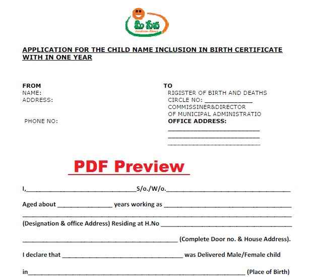 AP Child Name Inclusion Form (Before 1 Year) PDF Preview